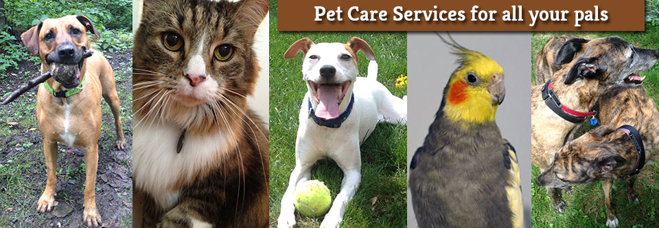Pittsburgh Pet Care Services & Fees